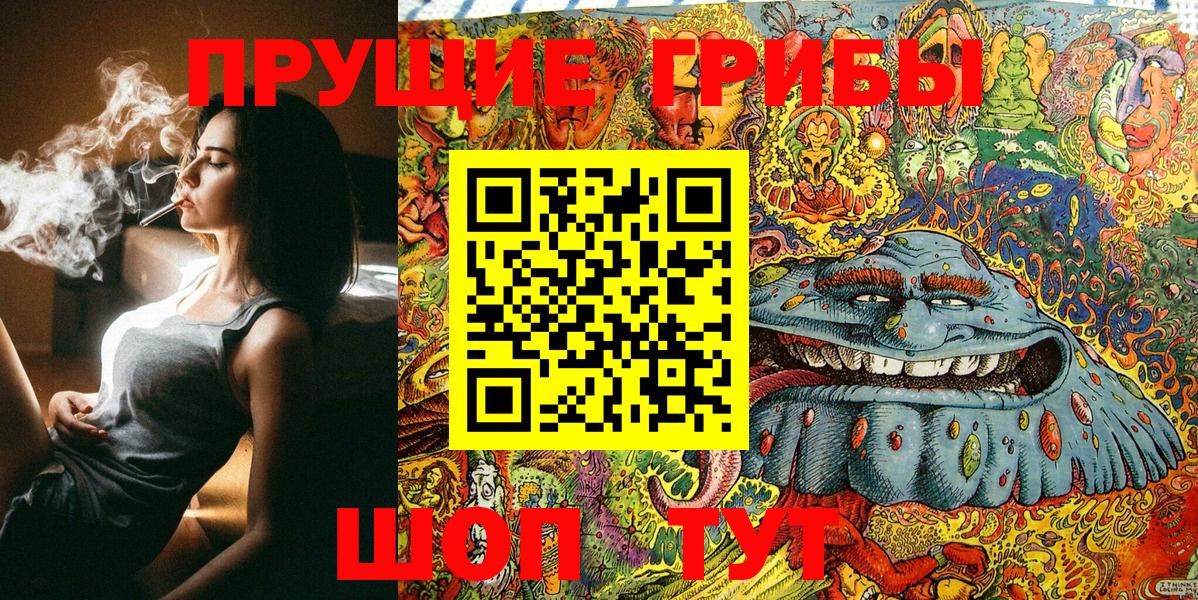 Балашов  Галлюциногенные грибы Cubensis  Вход с VPN 